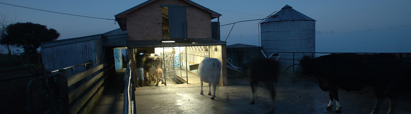 History of the dairy industry