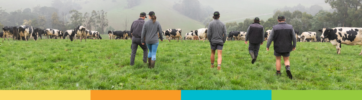 Sustainability Framework